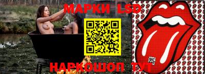 гашик Будённовск