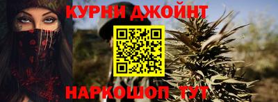 гашик Будённовск