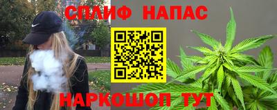 гашик Будённовск