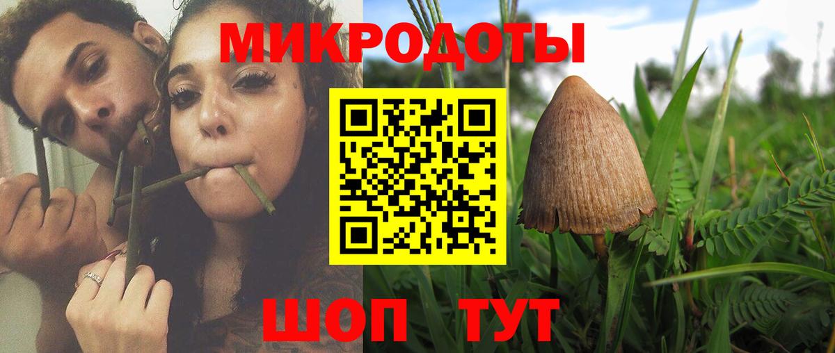 Псилоцибиновые грибы ЛСД Полысаево